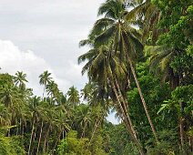 Loboc 3 Bohol